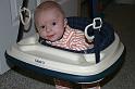 Picture 5588
